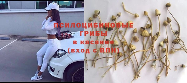 2c-b Магас